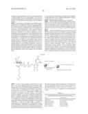 Factor IX:  Remodeling and Glycoconjugation of Factor IX diagram and image