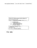 Factor IX:  Remodeling and Glycoconjugation of Factor IX diagram and image