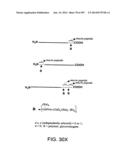 Factor IX:  Remodeling and Glycoconjugation of Factor IX diagram and image