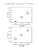 Cell-Matrix Microspheres, Methods for Preparation and Applications diagram and image