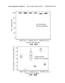 Cell-Matrix Microspheres, Methods for Preparation and Applications diagram and image