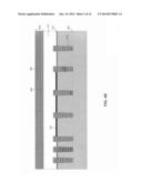 Charge Trapping Split Gate Device and Method of Fabricating Same diagram and image