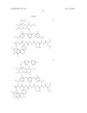 VANCOMYCIN DERIVATIVES diagram and image