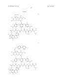 VANCOMYCIN DERIVATIVES diagram and image