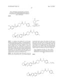 BICYCLIC ACETYL-COA CARBOXYLASE INHIBITORS AND USES THEREOF diagram and image