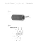 POLYANION NANOCOMPLEXES FOR THERAPEUTIC APPLICATIONS diagram and image