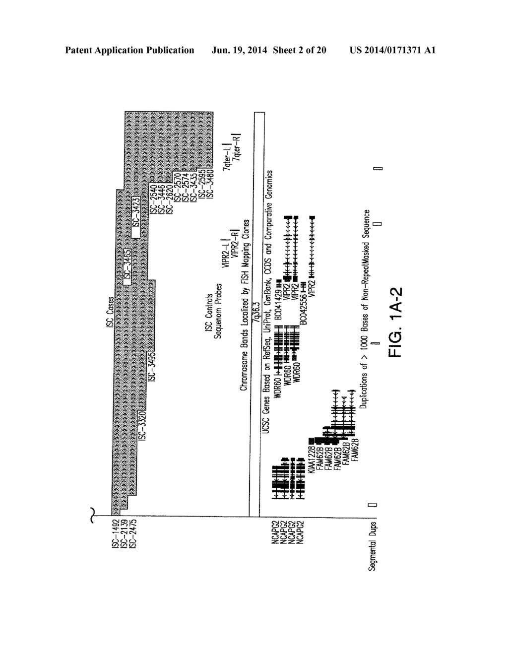 Compositions And Methods For The Diagnosis of Schizophrenia - diagram, schematic, and image 03