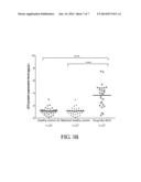 COMPOSITIONS AND METHODS FOR DIAGNOSIS OF SCHIZOPHRENIA diagram and image