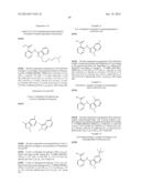 HISTONE DEMETHYLASE INHIBITORS diagram and image