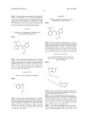 HISTONE DEMETHYLASE INHIBITORS diagram and image