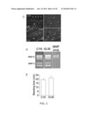 INHIBITORS OF NCCA-ATP CHANNELS FOR THERAPY diagram and image