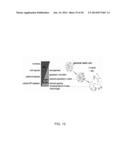 INHIBITORS OF NCCA-ATP CHANNELS FOR THERAPY diagram and image