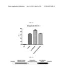 HUMAN RESISTIN RECEPTOR AND USE THEREOF diagram and image