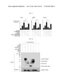 HUMAN RESISTIN RECEPTOR AND USE THEREOF diagram and image