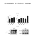 HUMAN RESISTIN RECEPTOR AND USE THEREOF diagram and image