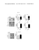 HUMAN RESISTIN RECEPTOR AND USE THEREOF diagram and image