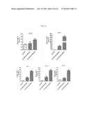 HUMAN RESISTIN RECEPTOR AND USE THEREOF diagram and image