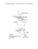 HUMAN RESISTIN RECEPTOR AND USE THEREOF diagram and image