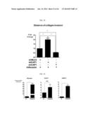 HUMAN RESISTIN RECEPTOR AND USE THEREOF diagram and image