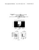 CHIMERIC RNA OLIGONUCLEOTIDES AND USES THEREOF diagram and image