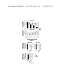 CHIMERIC RNA OLIGONUCLEOTIDES AND USES THEREOF diagram and image