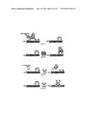 CHIMERIC RNA OLIGONUCLEOTIDES AND USES THEREOF diagram and image