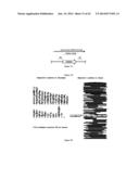 CHIMERIC RNA OLIGONUCLEOTIDES AND USES THEREOF diagram and image