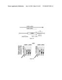 CHIMERIC RNA OLIGONUCLEOTIDES AND USES THEREOF diagram and image