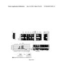 CHIMERIC RNA OLIGONUCLEOTIDES AND USES THEREOF diagram and image