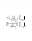 CHIMERIC RNA OLIGONUCLEOTIDES AND USES THEREOF diagram and image