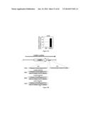 CHIMERIC RNA OLIGONUCLEOTIDES AND USES THEREOF diagram and image