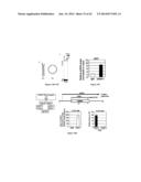 CHIMERIC RNA OLIGONUCLEOTIDES AND USES THEREOF diagram and image