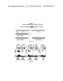 CHIMERIC RNA OLIGONUCLEOTIDES AND USES THEREOF diagram and image