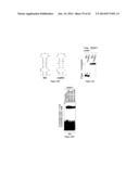 CHIMERIC RNA OLIGONUCLEOTIDES AND USES THEREOF diagram and image