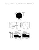 CHIMERIC RNA OLIGONUCLEOTIDES AND USES THEREOF diagram and image