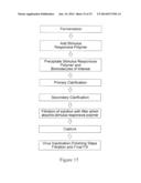 STIMULUS RESPONSIVE POLYMERS FOR THE PURIFICATION OF BIOMOLECULES diagram and image