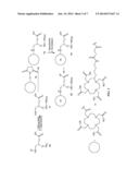 MULTIMERIC BIOTINIDASE RESISTANT MULTIMODALITY PROBES diagram and image