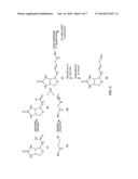 MULTIMERIC BIOTINIDASE RESISTANT MULTIMODALITY PROBES diagram and image