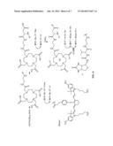 MULTIMERIC BIOTINIDASE RESISTANT MULTIMODALITY PROBES diagram and image