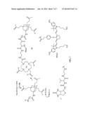 MULTIMERIC BIOTINIDASE RESISTANT MULTIMODALITY PROBES diagram and image