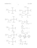 MULTIMERIC BIOTINIDASE RESISTANT MULTIMODALITY PROBES diagram and image