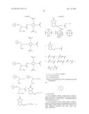 MULTIMERIC BIOTINIDASE RESISTANT MULTIMODALITY PROBES diagram and image