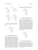 TRPM8 ANTAGONISTS AND THEIR USE IN TREATMENTS diagram and image