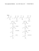 PROCESS FOR THE ENZYMATIC PRODUCTION OF C4 COMPOUNDS FROM C6 SUBSTRATES diagram and image