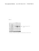 PROCESS FOR THE ENZYMATIC PRODUCTION OF C4 COMPOUNDS FROM C6 SUBSTRATES diagram and image