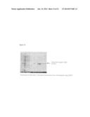 PROCESS FOR THE ENZYMATIC PRODUCTION OF C4 COMPOUNDS FROM C6 SUBSTRATES diagram and image