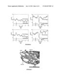 MEASUREMENT OF NEURAL FUNCTIONALITY USING PHASE SENSITIVE OPTICAL     COHERENCE REFLECTOMETRY diagram and image