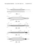 DRUG-ELUTING ANGIOPLASTY BALLOON SYSTEMS diagram and image