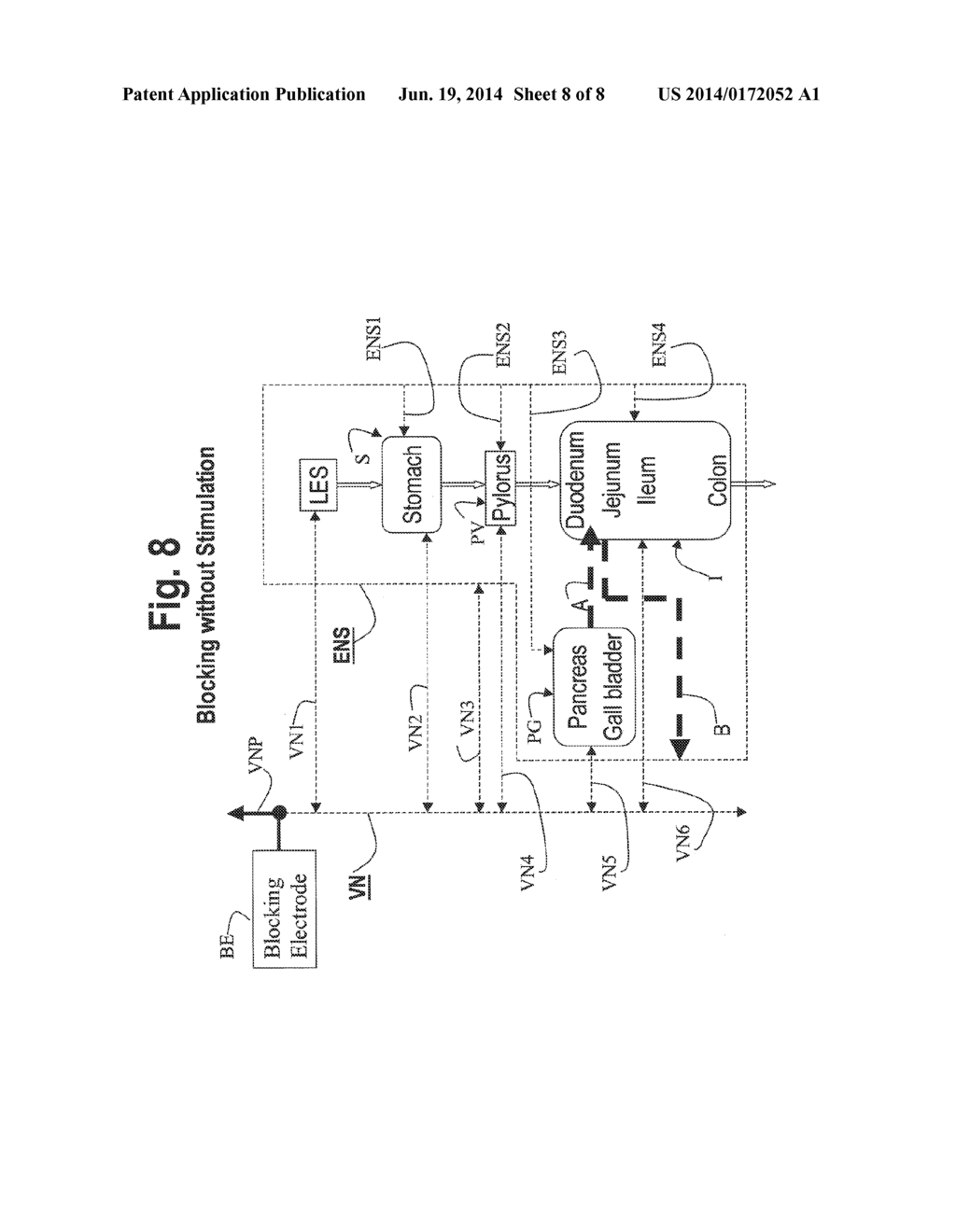 NERVE STIMULATION AND BLOCKING FOR TREATMENT OF GASTROINTESTINAL DISORDERS - diagram, schematic, and image 09