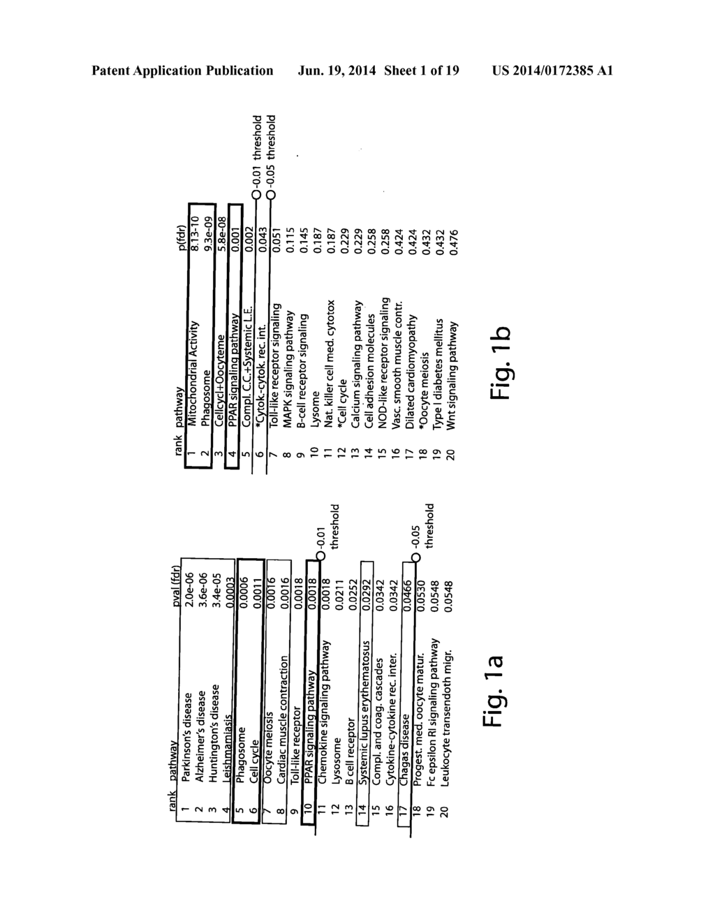 Genetic, Metabolic and Biochemical Pathway Analysis System and Methods - diagram, schematic, and image 02